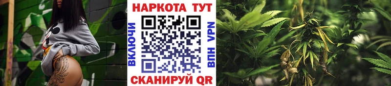 Продажа наркотиков Междуреченск A-PVP  Меф мяу мяу  Гашиш 