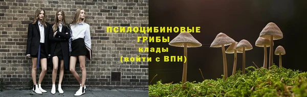 соль ск Гусь-Хрустальный