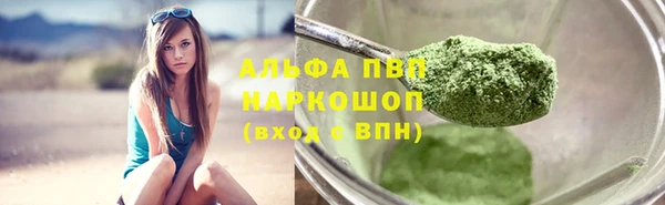 PSILOCYBIN Гусев