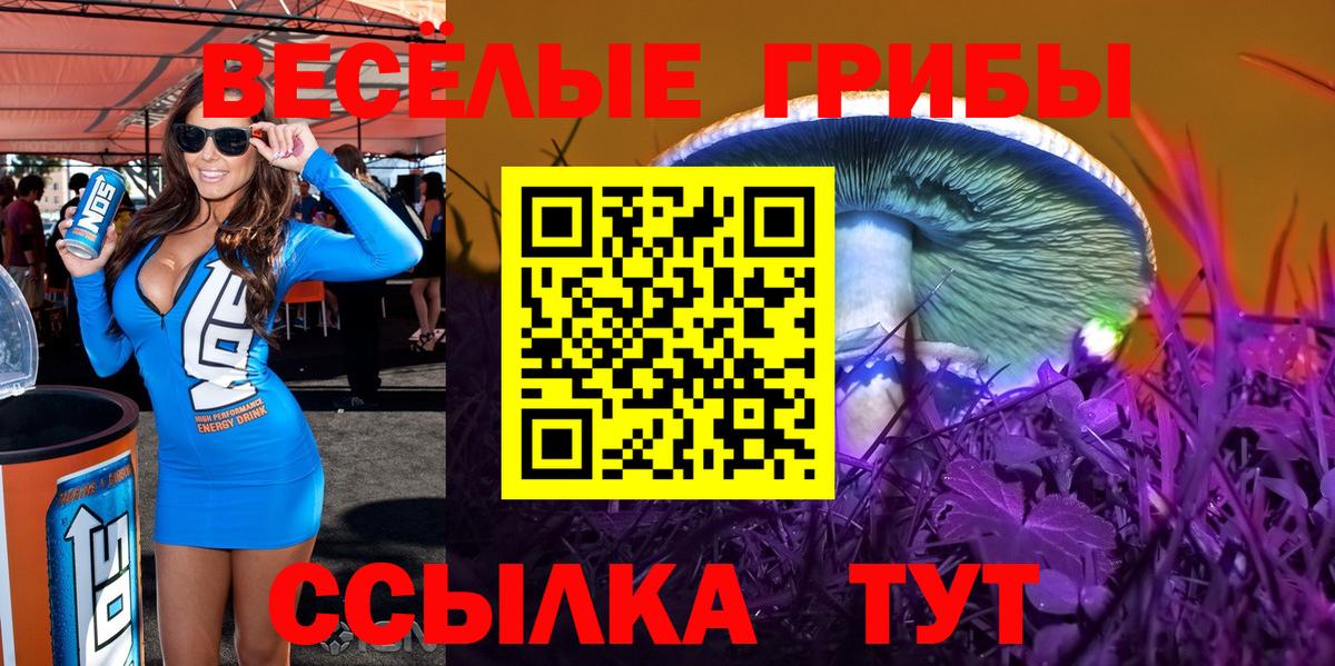 Псилоцибиновые грибы ЛСД Междуреченск
