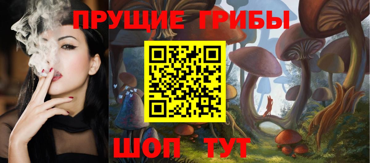 Псилоцибиновые грибы Psilocybine cubensis  купить наркотик  Междуреченск 