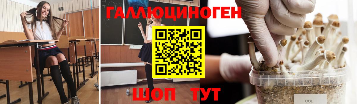 Псилоцибиновые грибы прущие грибы  Вход с VPN  Междуреченск 
