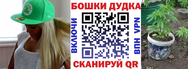 купить наркоту  Междуреченск  kraken маркетплейс  Шишки марихуана SATIVA & INDICA 